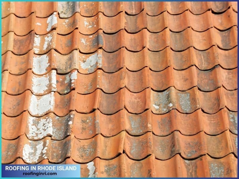 Aged tiled roof and lichen