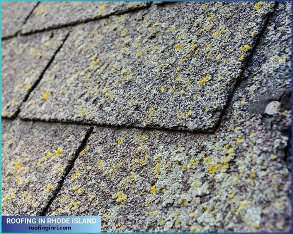 mold on roofing shingles