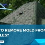Shingle roof affected by mold