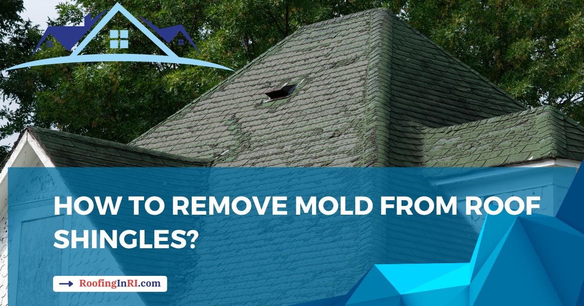 Shingle roof affected by mold