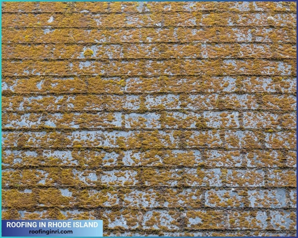 Shingle roof with molds and algae on the surface