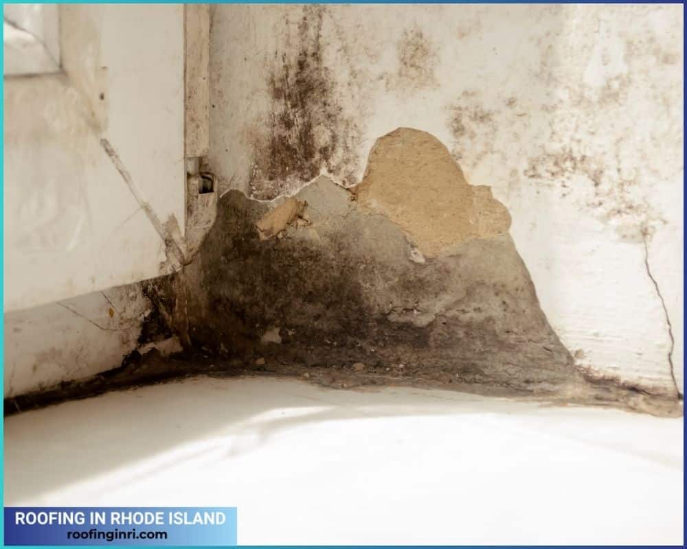 Structural damage by mold growth