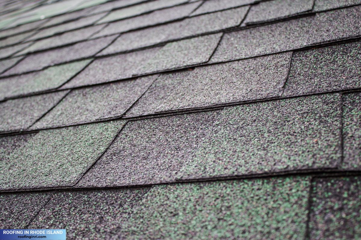Visible shingle granules, old shingle roof